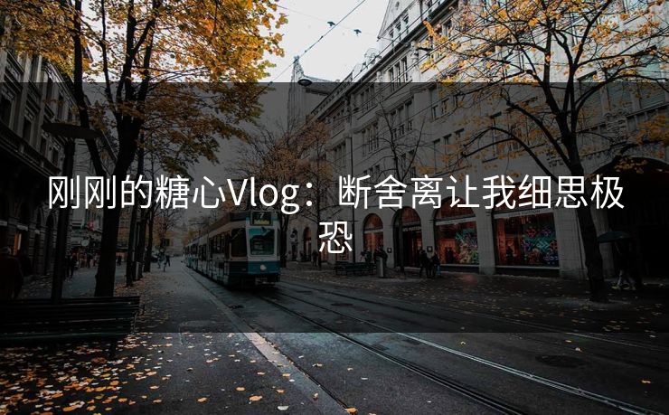 刚刚的糖心Vlog:断舍离让我细思极恐